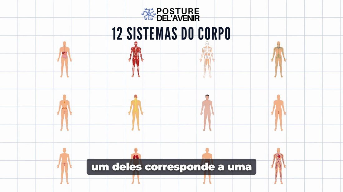 Videoaula: 12 sistemas do corpo